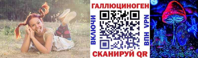 сколько стоит  Ельня  Псилоцибиновые грибы Magic Shrooms 