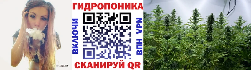 ОМГ ОМГ онион  Ельня  МАРИХУАНА VHQ  где купить  